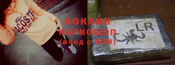 шишки Армянск
