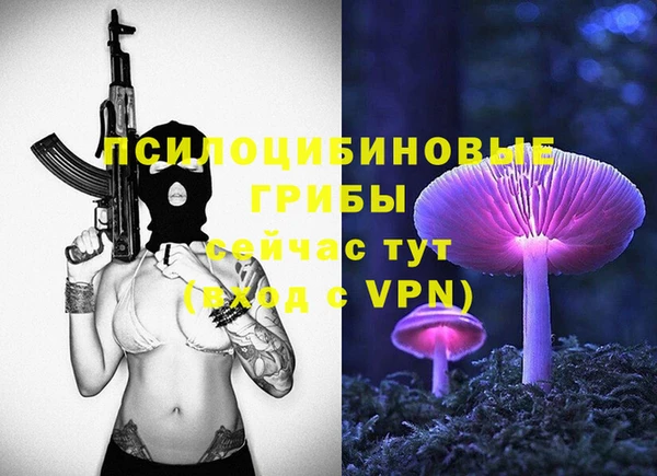 ГАЛЛЮЦИНОГЕННЫЕ ГРИБЫ Аркадак
