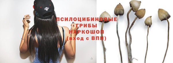 МДПВ Арсеньев