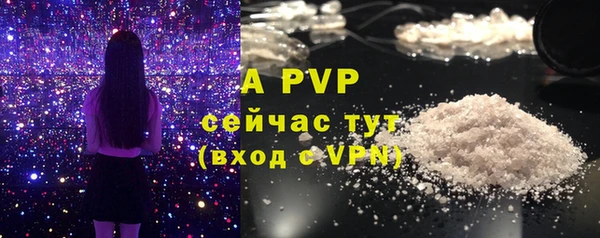шишки Армянск