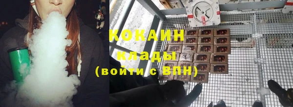 шишки Армянск