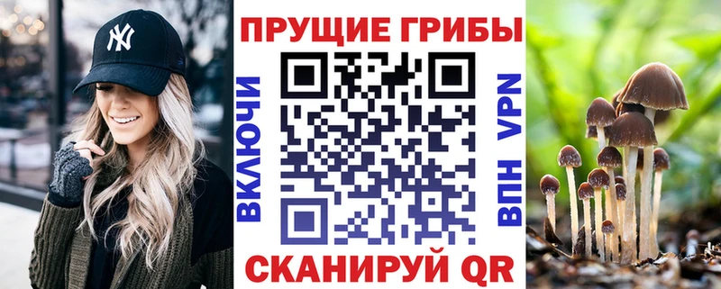 Псилоцибиновые грибы мухоморы  Никольск 